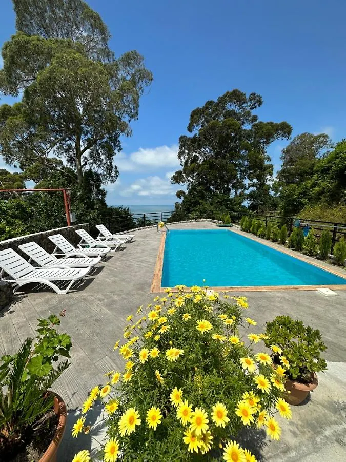 Zuri Kvariati Guest house
